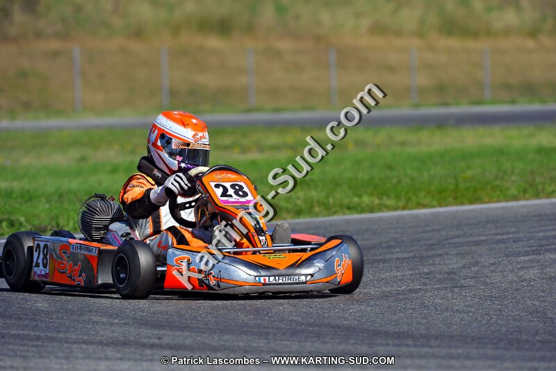DSC_ (1278).jpg